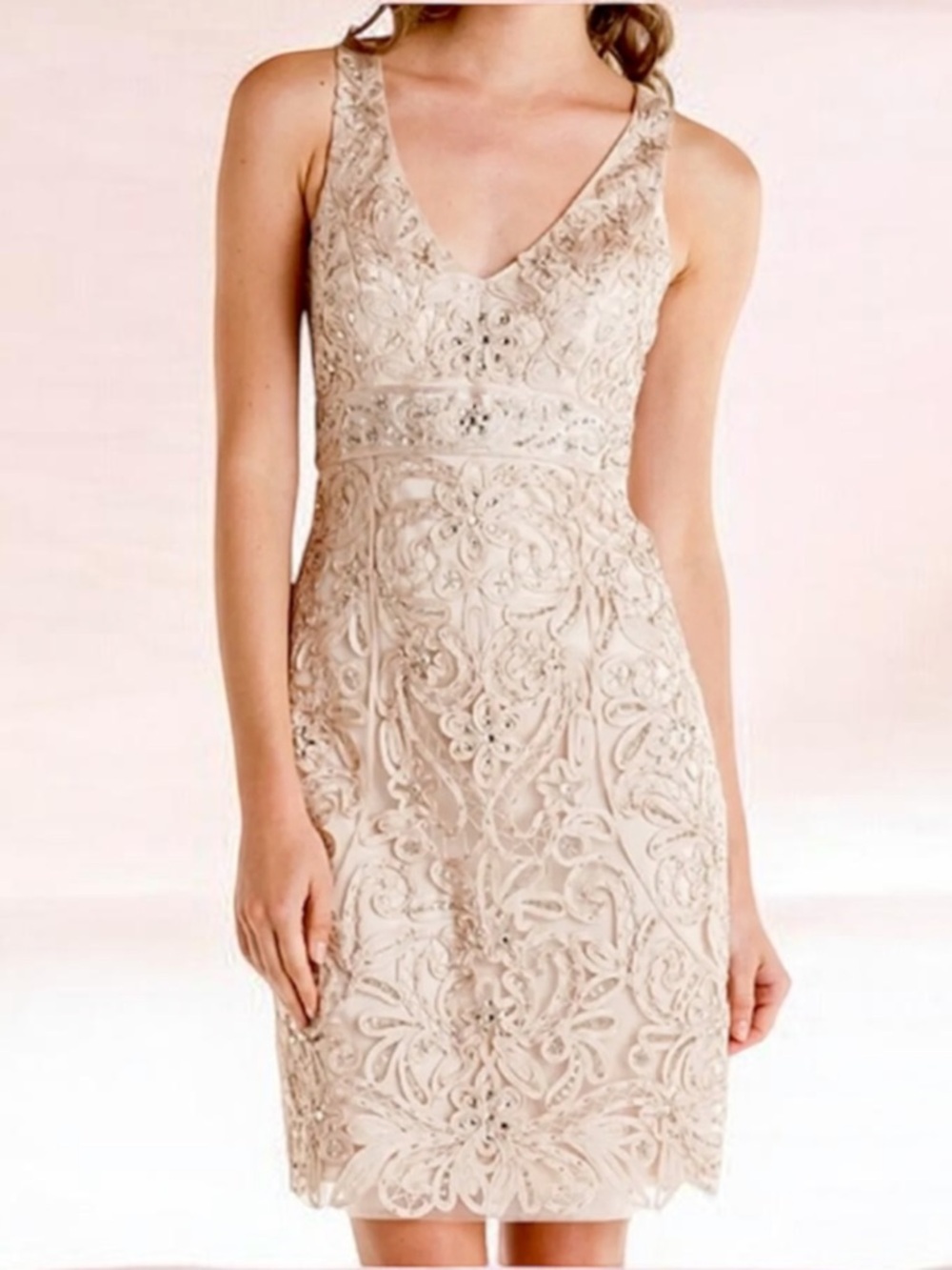 Sue Wong Nocturne Beaded Dress - Dusty Rose & Champagne - Size 2 - BNWT